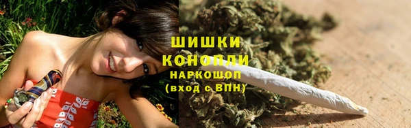 прущие грибы Аркадак