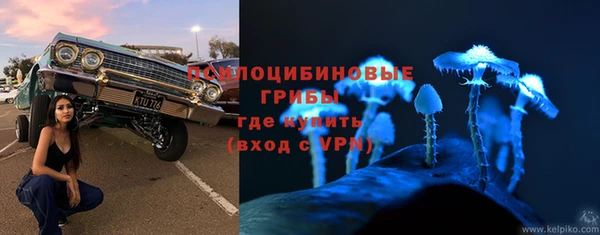 прущие грибы Аркадак
