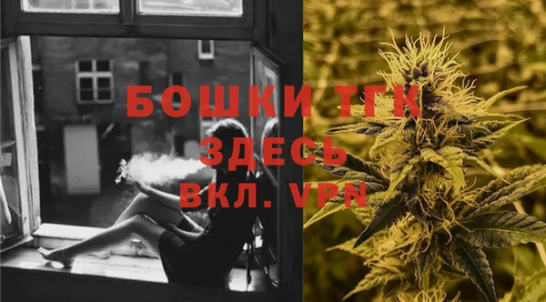 прущие грибы Аркадак