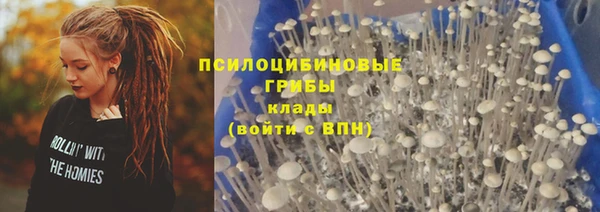 прущие грибы Аркадак