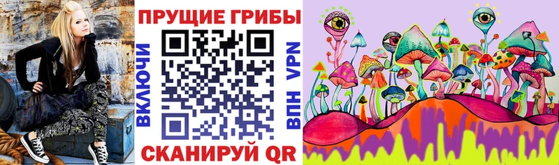 Купить закладки  Мирный  Псилоцибиновые грибы Psilocybe 